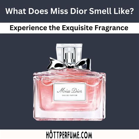 miss dior comprar|what does Miss Dior smell like.